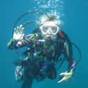 Saint Lucia on Random Best Countries for Scuba Diving