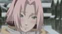 Sakura Haruno on Random Poorly Written Anime Characters