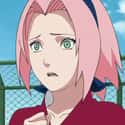 Sakura Haruno on Random Best Anime Characters With Pink Hai