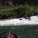 Salt River on Random Best American Rivers for Kayaking