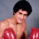 Featherweight   Salvador Sánchez Narváez was a Mexican boxer born in the town of Santiago Tianguistenco, Estado de México.