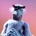 Sam the Eagle on Random Most Interesting Muppet Show Characters