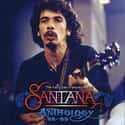 Santana on Random Best Opening Act You've Ever Seen