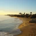 Santa Cruz on Random Best Beaches in the US