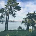 San Francisco on Random Best US Cities for Nature Lovers