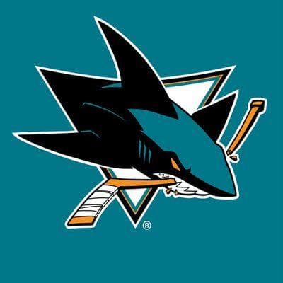 Professional Sports Teams Named After Animals, Ranked