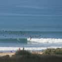 San Onofre State Beach on Random Best U.S. Beaches for Surfing