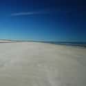 Sapelo Island on Random Best Beaches in the South