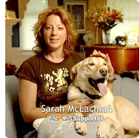 Celebrities Who Fight For Animal Rights List Of Famous People Who Support Animal Rights