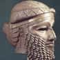 Sargon of Akkad is listed (or ranked) 5 on the list The Best YouTube Politics Channels, Ranked