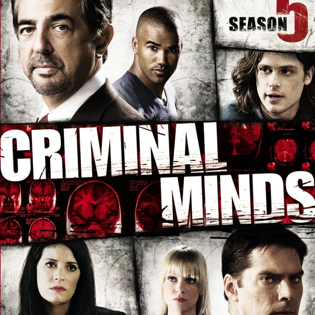 Best Season of Criminal Minds List of All Criminal Minds Seasons Ranked
