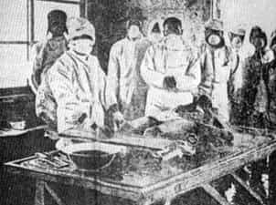 Japanese war crimes essay