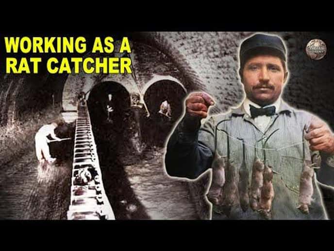The Bizarre History of the Rat Catching Profession