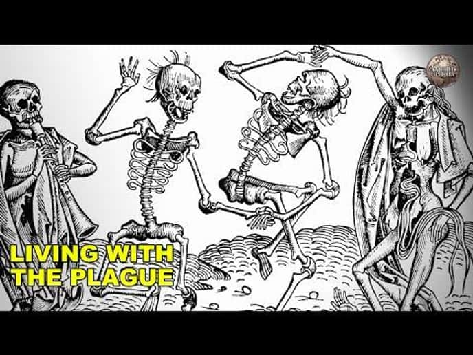 A Day In the Life Living With the Plague