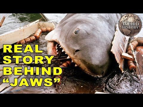 The Matawan Maneater | The Inspiration for Jaws